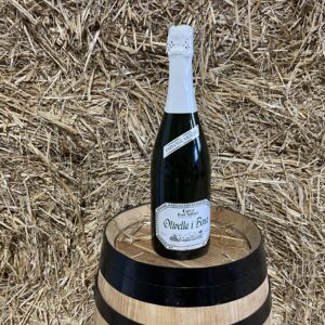Cava Brut Nature Olivella and Bonet
