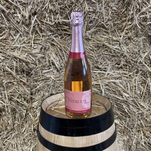 Cava extra brut rosé Estruch Celler Vell