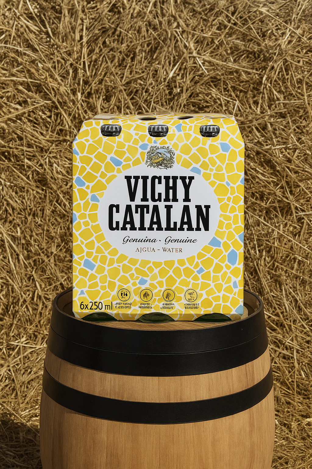 Vichy Catalan 300 ml (6 units) — MIM Services