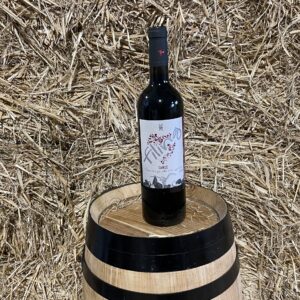 Filing Samsó Negre Priorat 2016