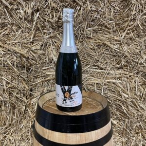 Cava Marel·lo de Marià de Pau Costa 2016
