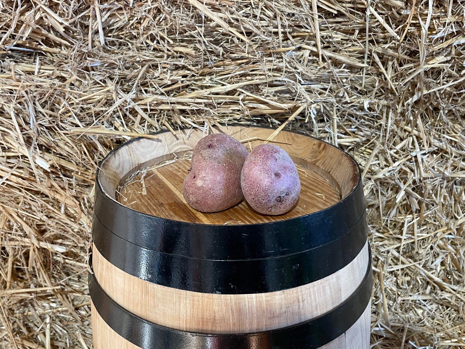 Pontiac potato — MIM Services