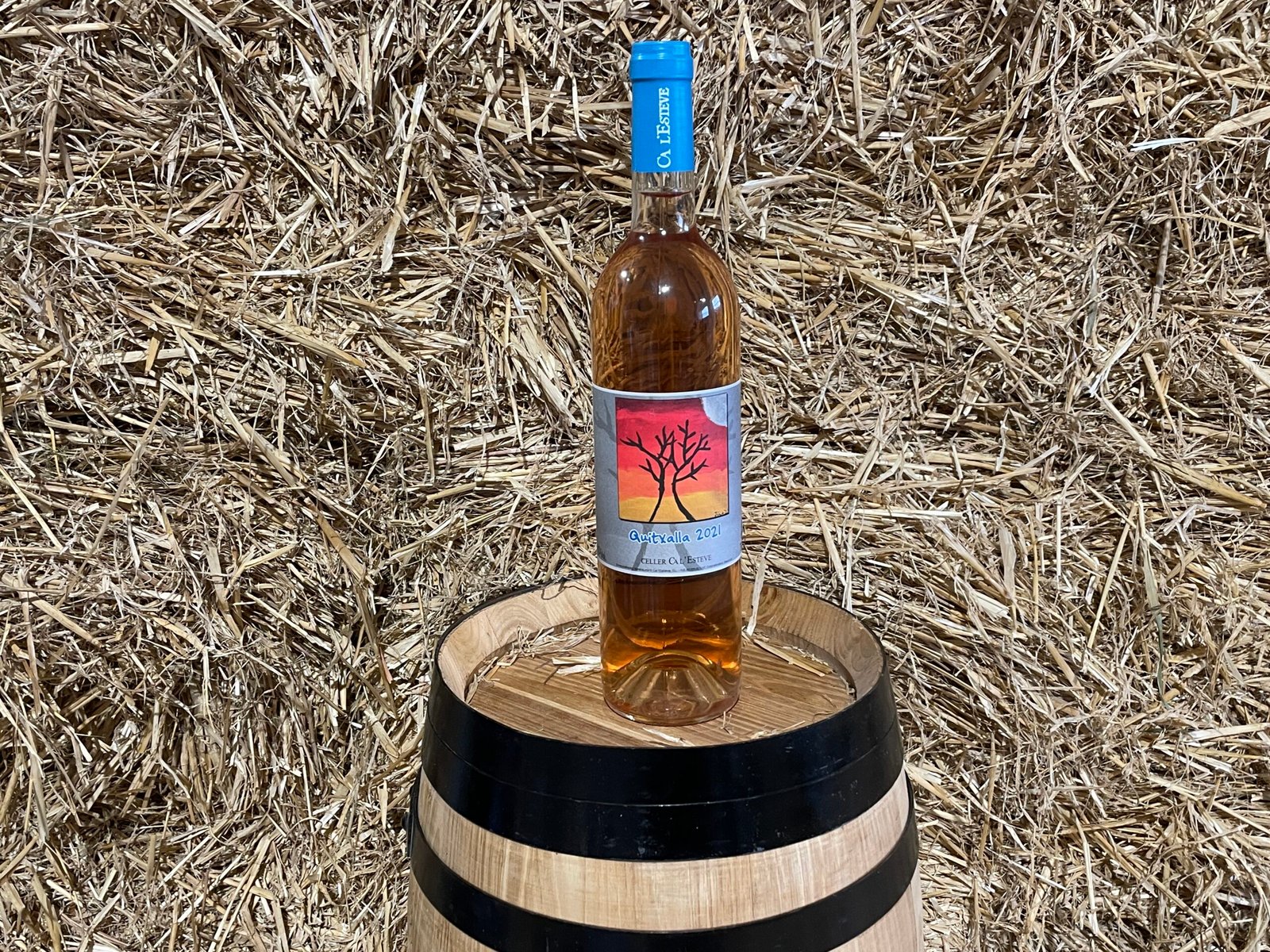 Quixalla 2021 Rosat Celler Ca l’Esteve — MIM Services