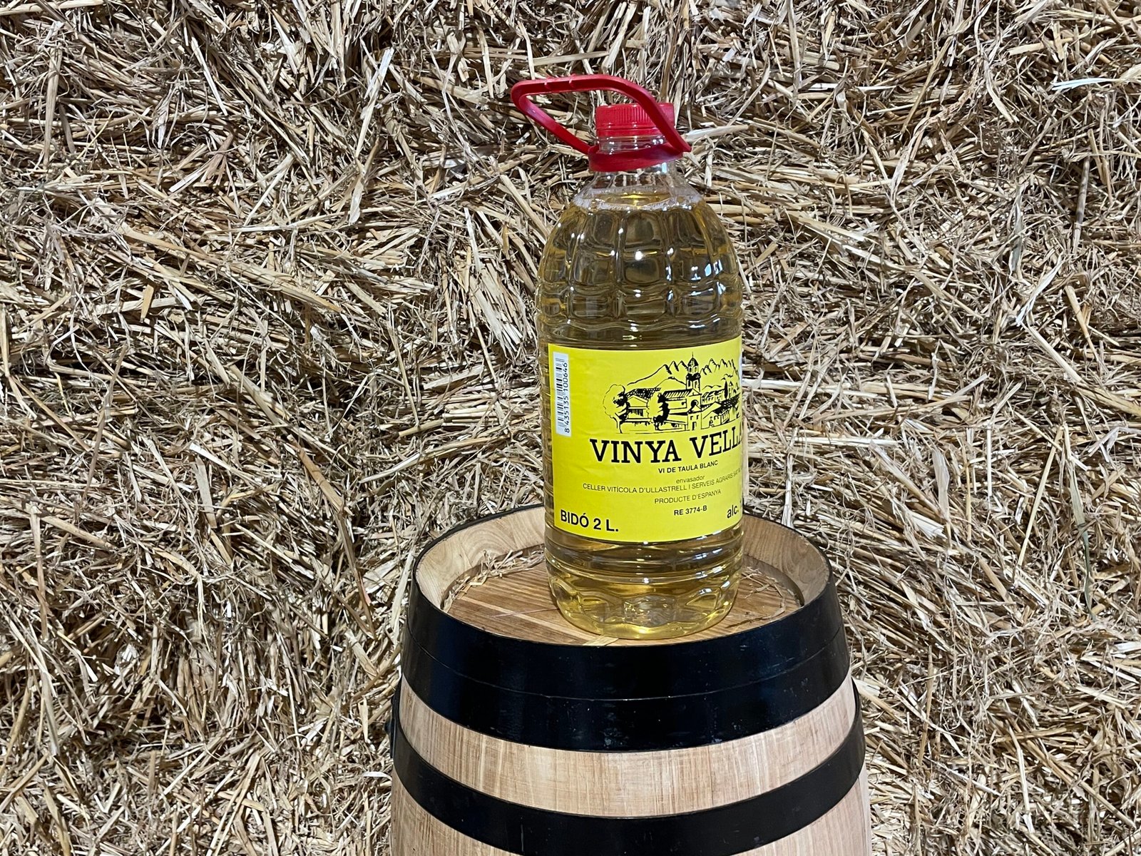 Vinya Vella white table wine 2l — MIM Services