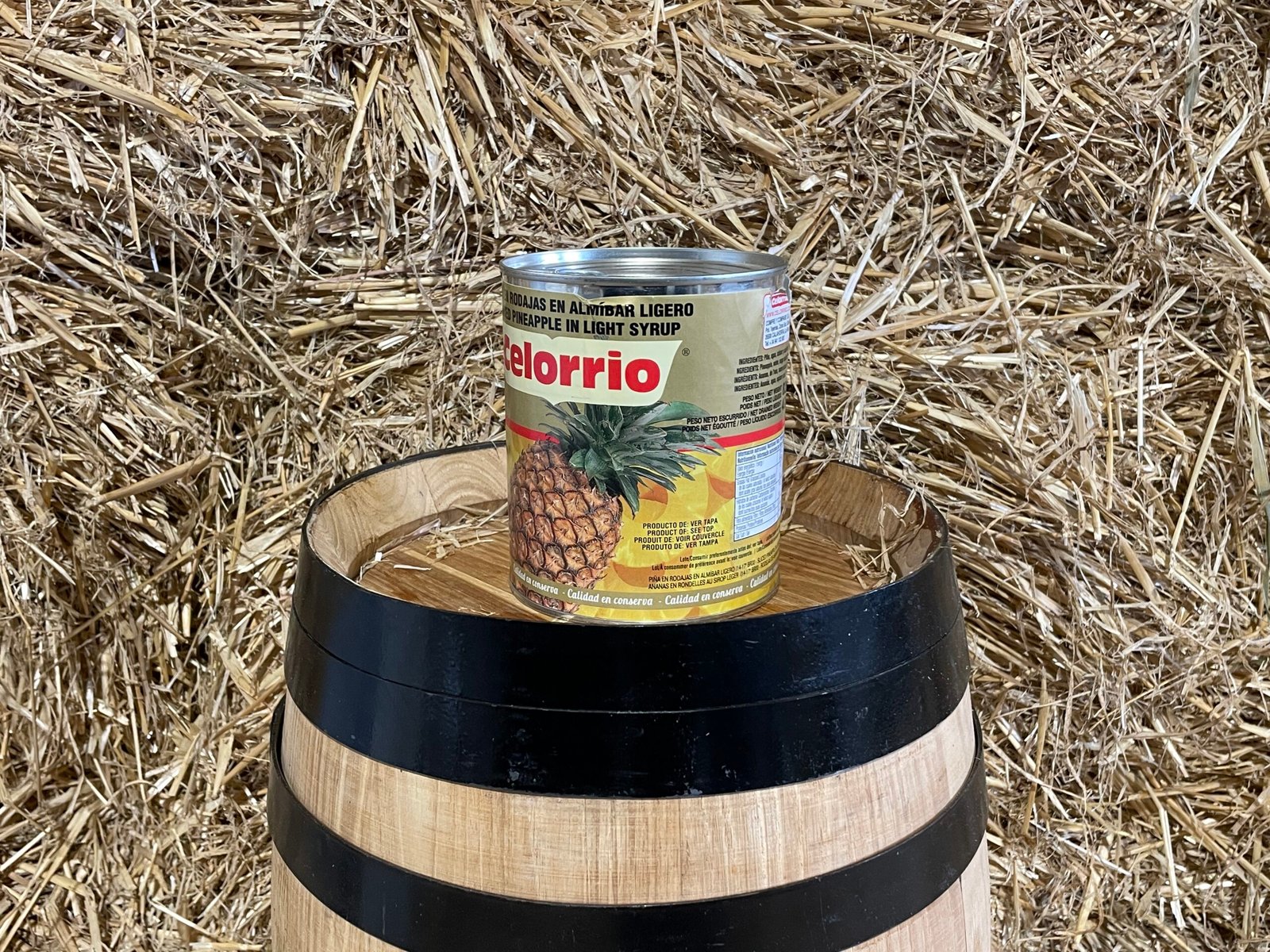 Celorrio Pineapples Soaked in Syrup — MIM Services