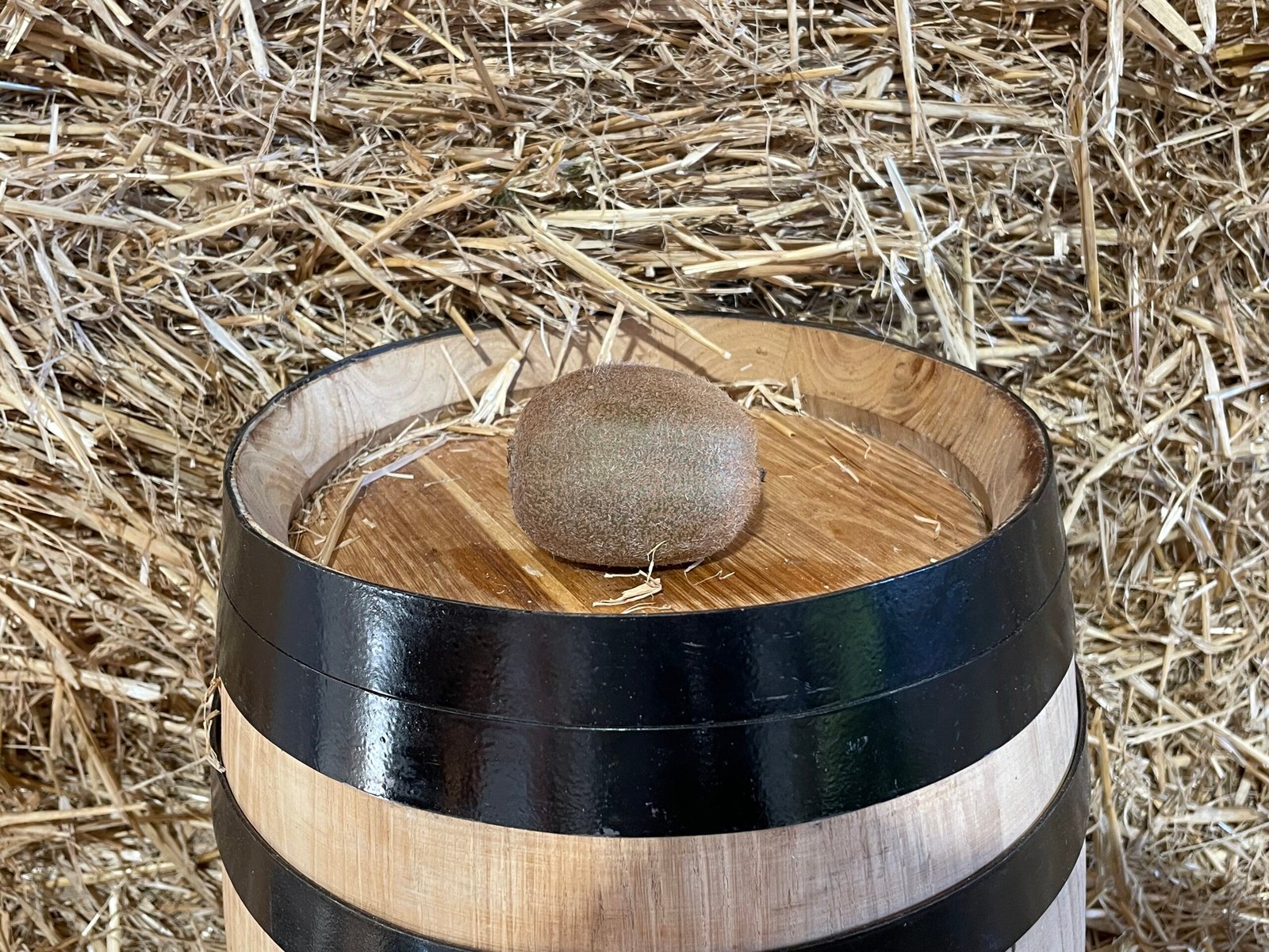 Kiwi — La Botiga DU
