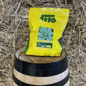 Giant Winter Spinach Seed - Santos Fitó 100gr
