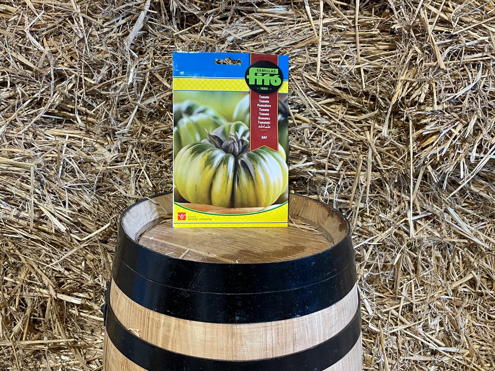 Llavors de Tomàquet RAF Fitó — MIM Services