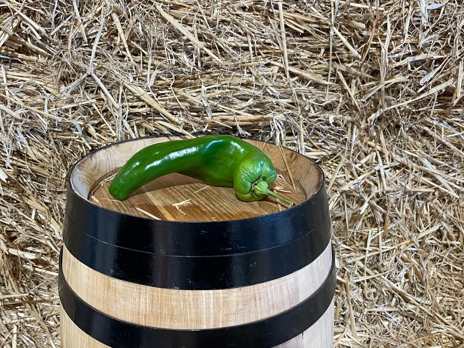 Green Pepper — MIM Services