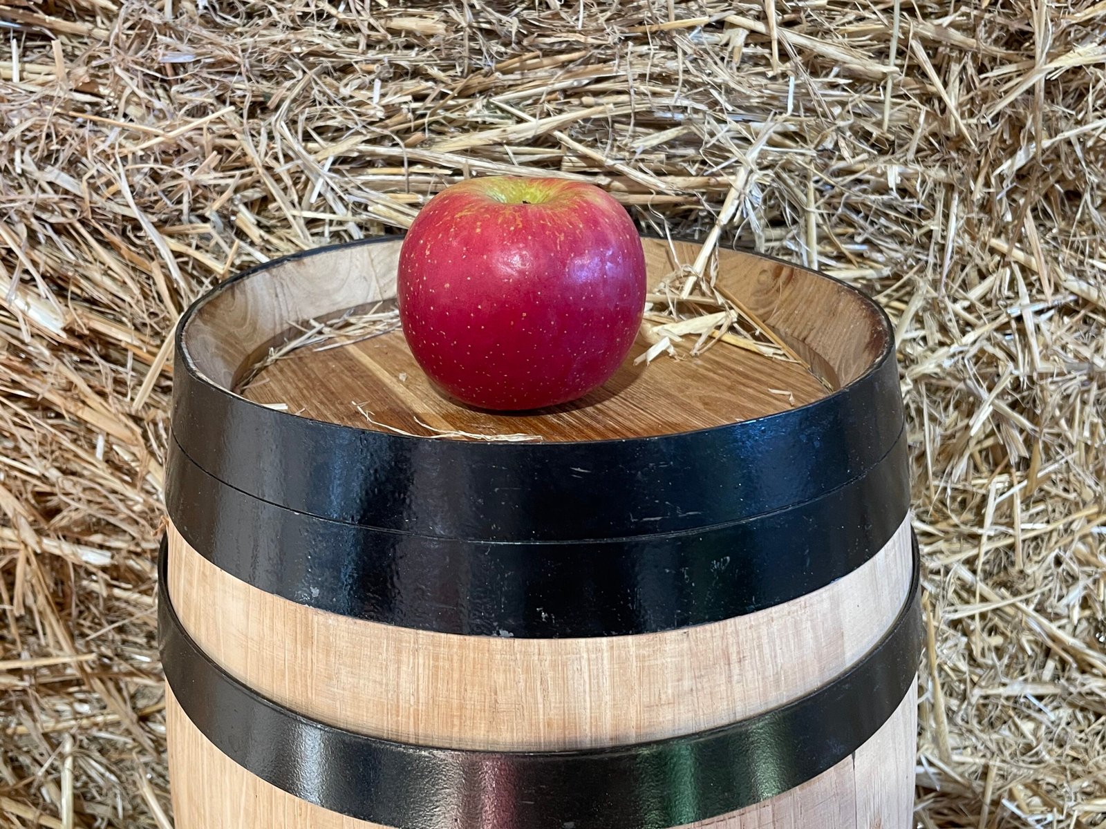 Fuji apple — MIM Services