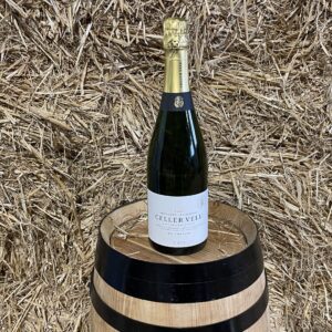 Cava Ecological Reserve Celler Vell